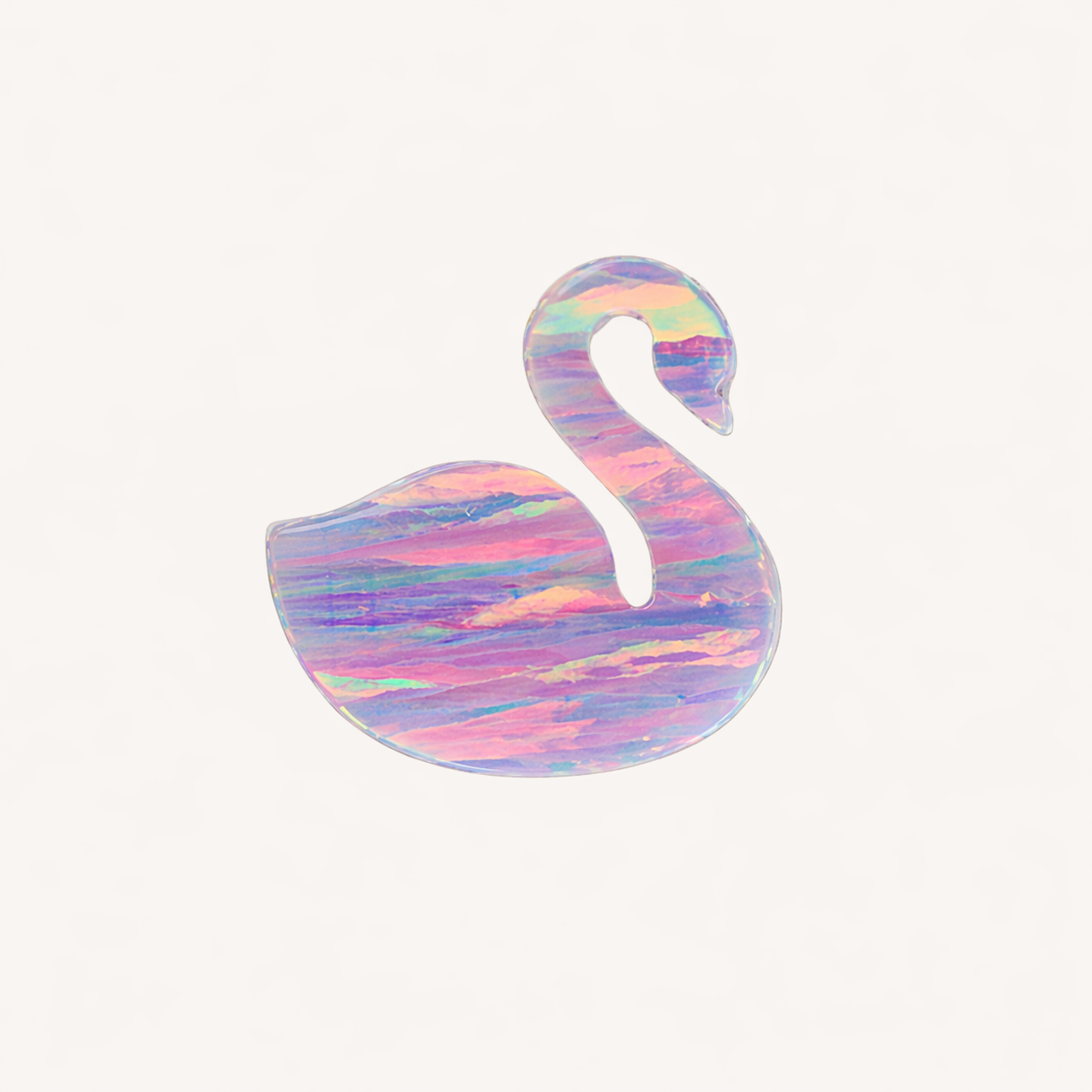 Cisne - Image 4