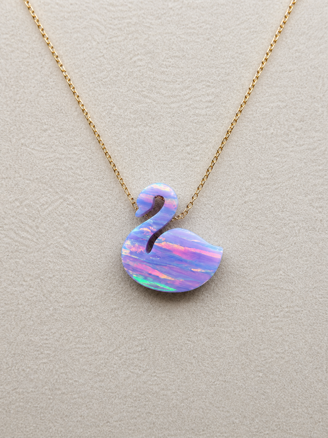 Cisne - Image 3